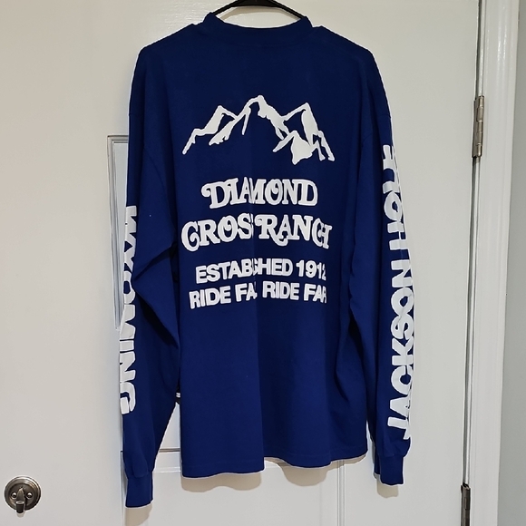Free People Blue Long Sleeve Tee with Outdoor Graphic - Picture 4 of 6
